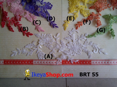 BRT 55  large2